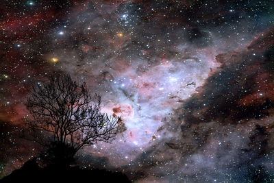 Low angle view of tree against sky at night