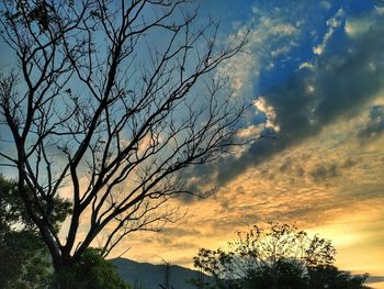 Low angle view of silhouette tree against dramatic sky