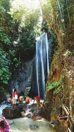 Waterfall in forest