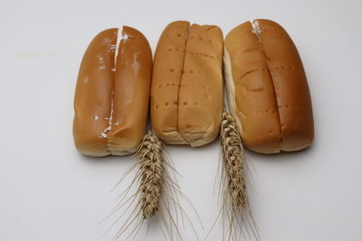 Close-up of food against white background