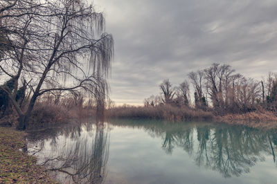 Reflection of bare trees in lake against sky