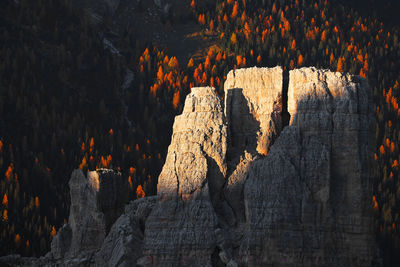 View of rock formation against trees