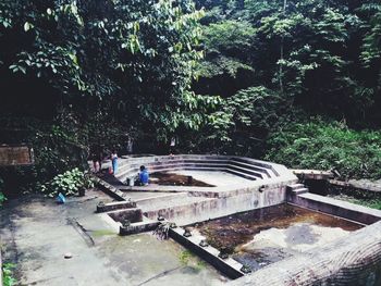 View of swimming pool against trees