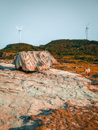 Full length of horse against wind turbines on land