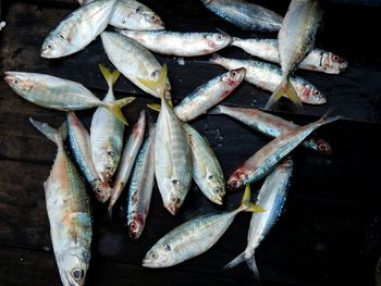 High angle view of fish on table for sale in market