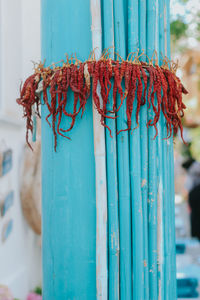 Close-up of metal fence against blue wall