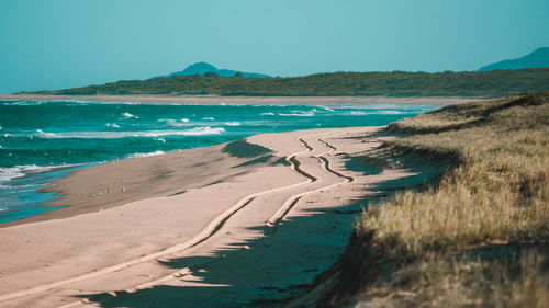 Scenic view of beach against clear sky