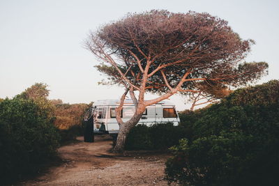 Van amidst trees against sky in forest