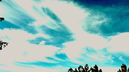 Low angle view of trees against sky