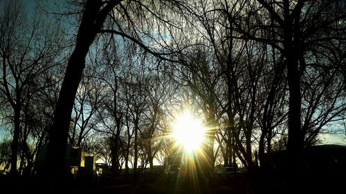 Low angle view of bare trees against sky