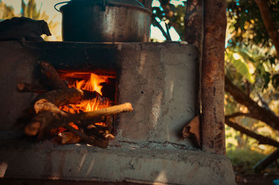 Close-up of fire on log