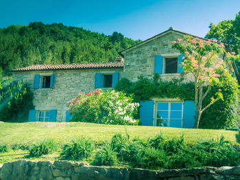 House and trees on field against sky