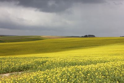 Scenic view of field against cloudy sky