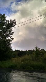 Scenic view of grass and trees against sky