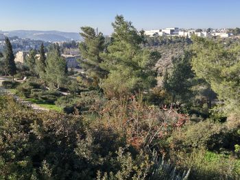 View of plants and trees