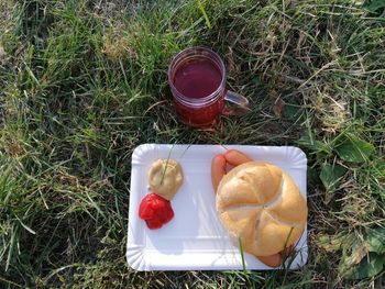 High angle view of breakfast served on table