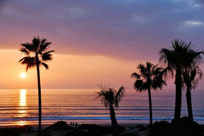 Silhouette palm trees on beach against sky during sunset