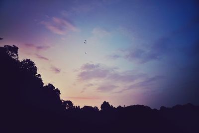 Low angle view of silhouette trees against sky