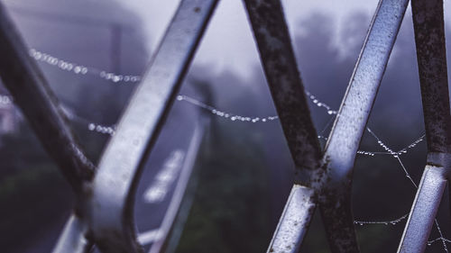 Close-up of wet spider web