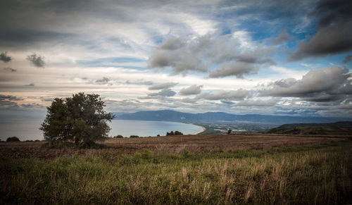 Scenic view of field against sky