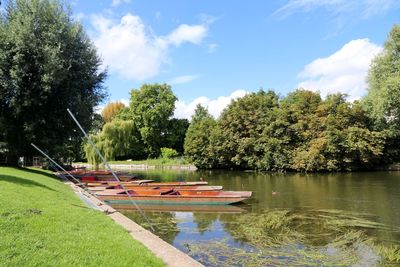 Scenic view of river and trees against sky