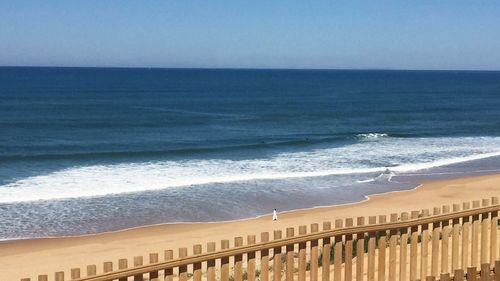 Scenic view of sea against clear sky