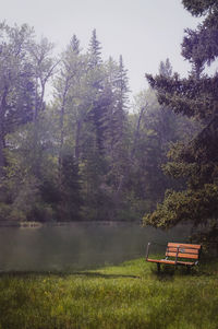Scenic view of lake amidst trees