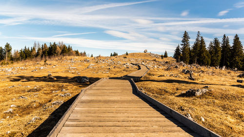 Boardwalk leading towards trees against sky