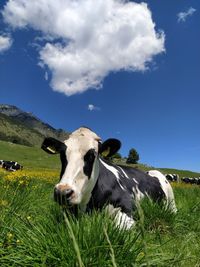 Cow on grassy field against sky