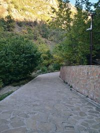 Footpath amidst trees in park