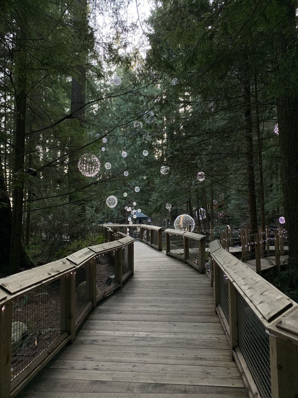 EMPTY FOOTBRIDGE IN PARK