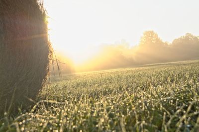 Scenic view of field against sky during sunset