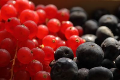 Full frame shot of berries 