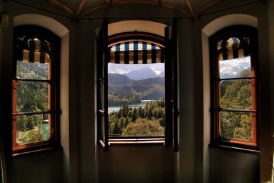 Trees seen through window of house