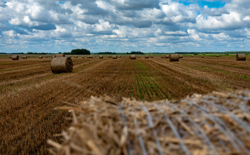 Hay bales on field against sky