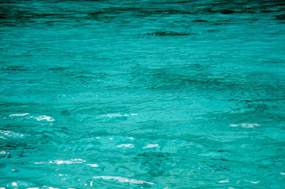 High angle view of swimming pool