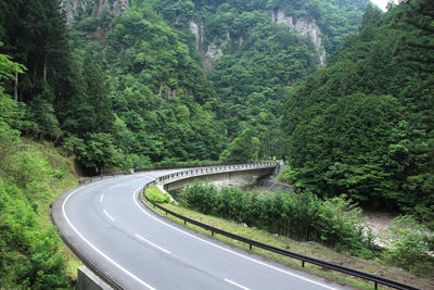 Road amidst trees in forest