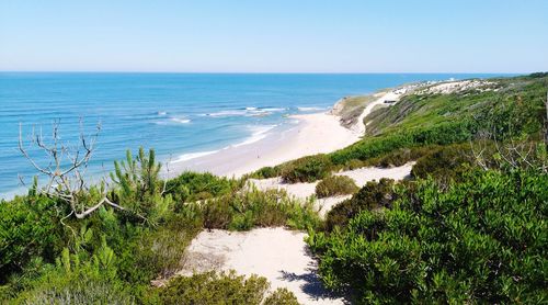 Scenic view of sea against clear sky