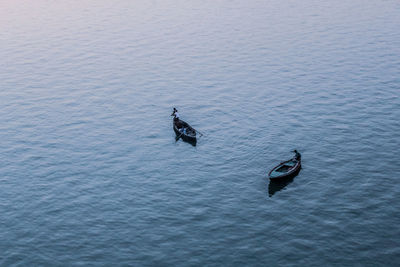 High angle view of people in sea