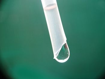 Close-up of water drop on leaf