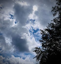 Low angle view of silhouette tree against sky