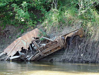 View of abandoned river in forest