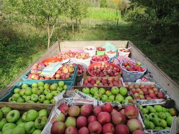 High angle view of fresh fruits in market