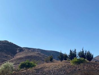 Scenic view of landscape against clear blue sky