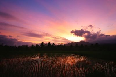 Scenic view of field against sky during sunset