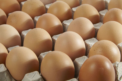 Close-up of eggs in cartoon