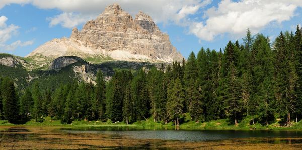 Scenic view of lake and trees in forest against sky