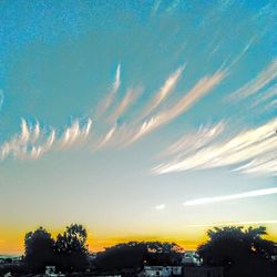 Low angle view of trees against sky at sunset