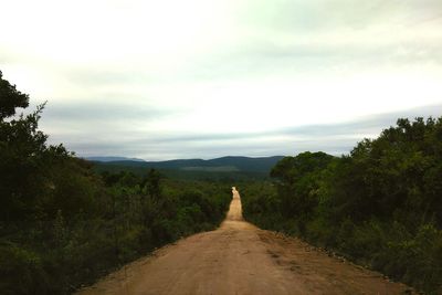 Empty road along trees and plants against sky