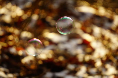 Bubbles in rainbow